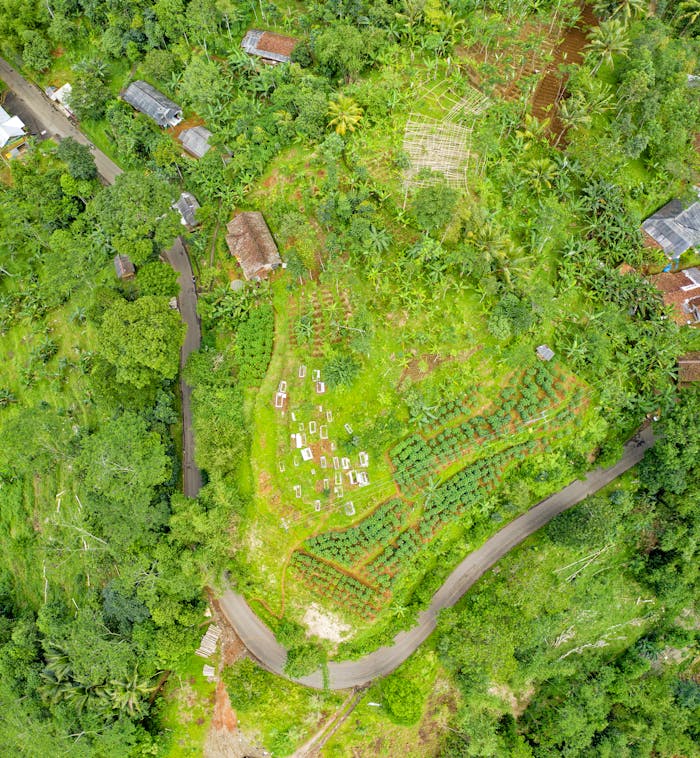 Bird's Eye View Photography of Green Land